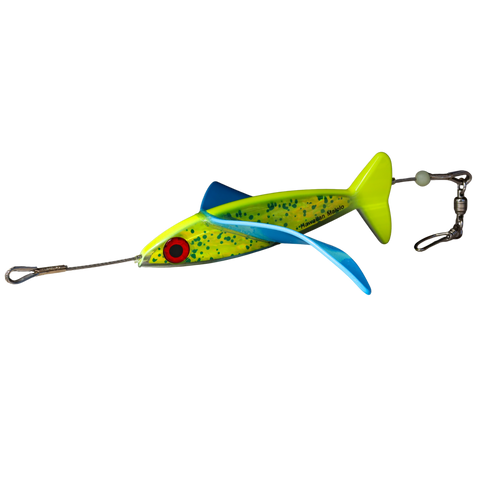 Hawaiian Malolo - Bird Teaser Dorado Blue