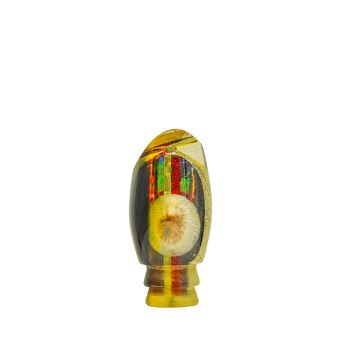 Sonny Arita - 12 Vintage Opihi Shell Scoop