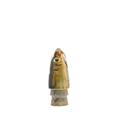 Hawaiian Sea Lures - 9 Real Fish Head Bullet