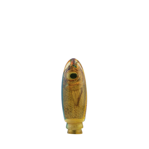 Minano - 9 Vintage Real Fish Head Bullet