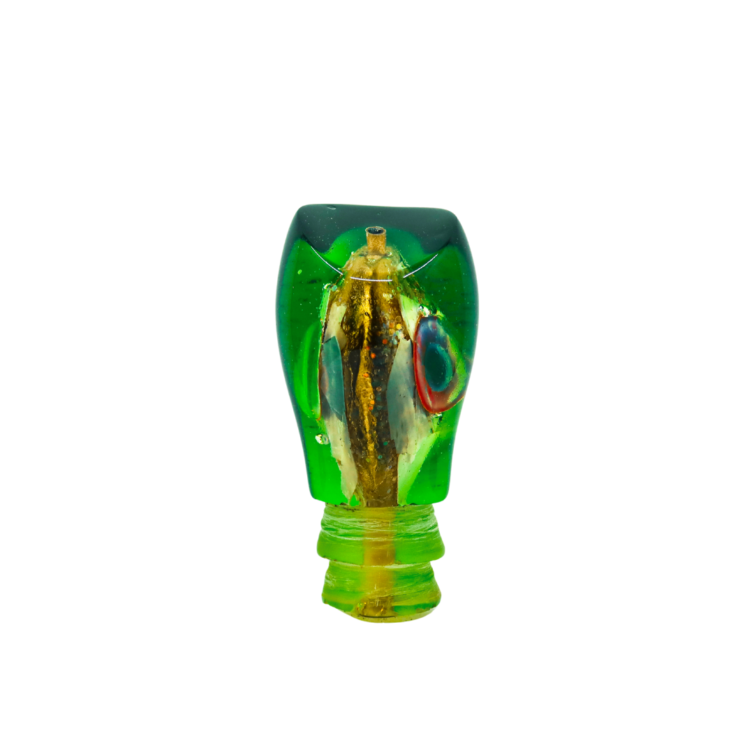 Bob Schneider? - 9" Scoop Green Top