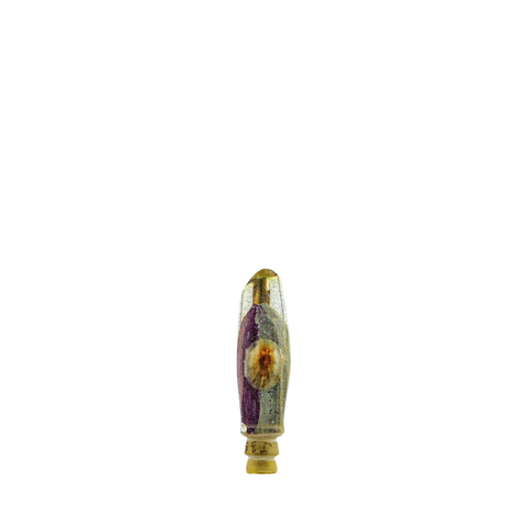 Sonny Arita - 7 Vintage Opihi Eye Scoop