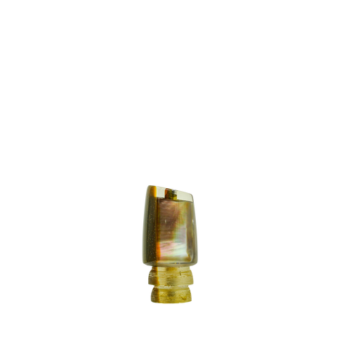 Coggin - 7 Real Tahitian Shell Slant