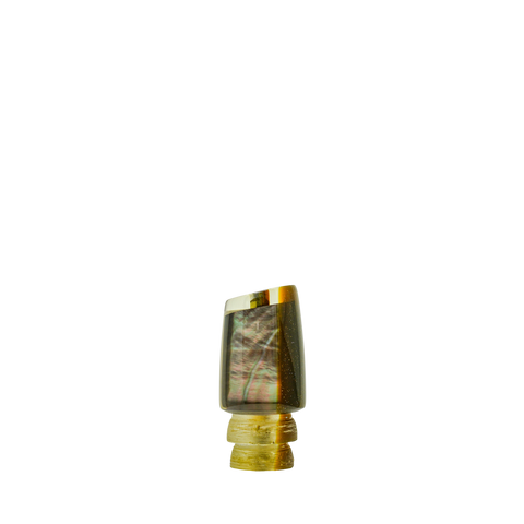 Coggin - 7 Real Tahitian Shell Slant