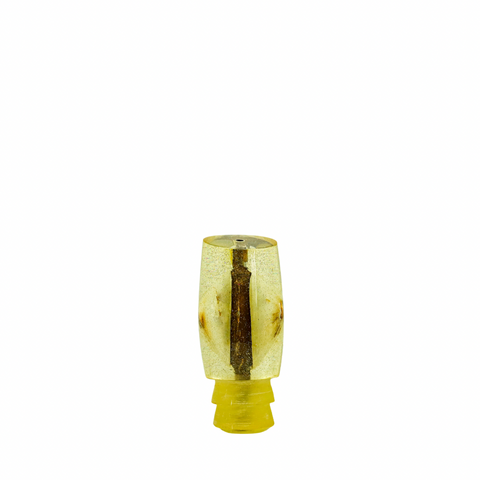 Sonny Arita - 9 Vintage Opihi Shell Slant
