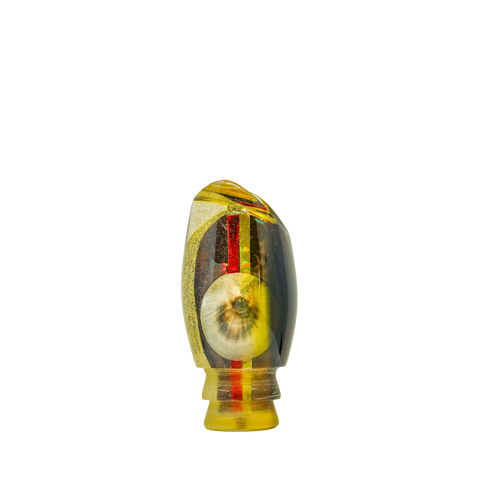 Sonny Arita - 12 Vintage Opihi Shell Scoop