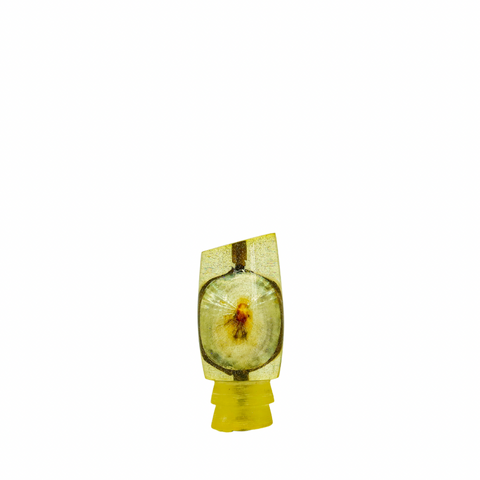 Sonny Arita - 9 Vintage Opihi Shell Slant