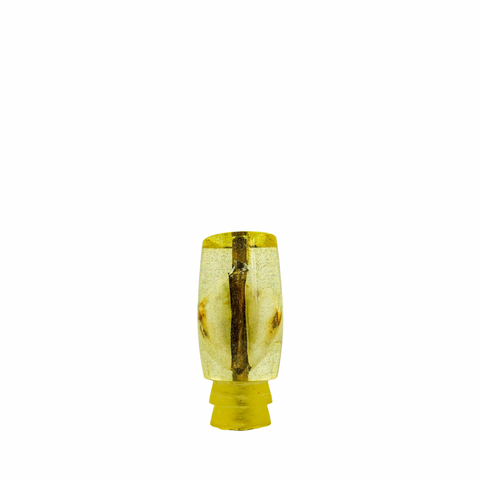 Sonny Arita - 9 Vintage Opihi Shell Slant