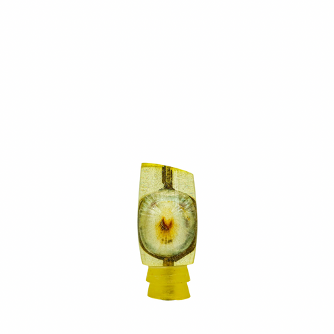 Sonny Arita - 9 Vintage Opihi Shell Slant