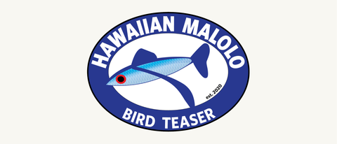 Hawaiian Malolo Bird Teasers