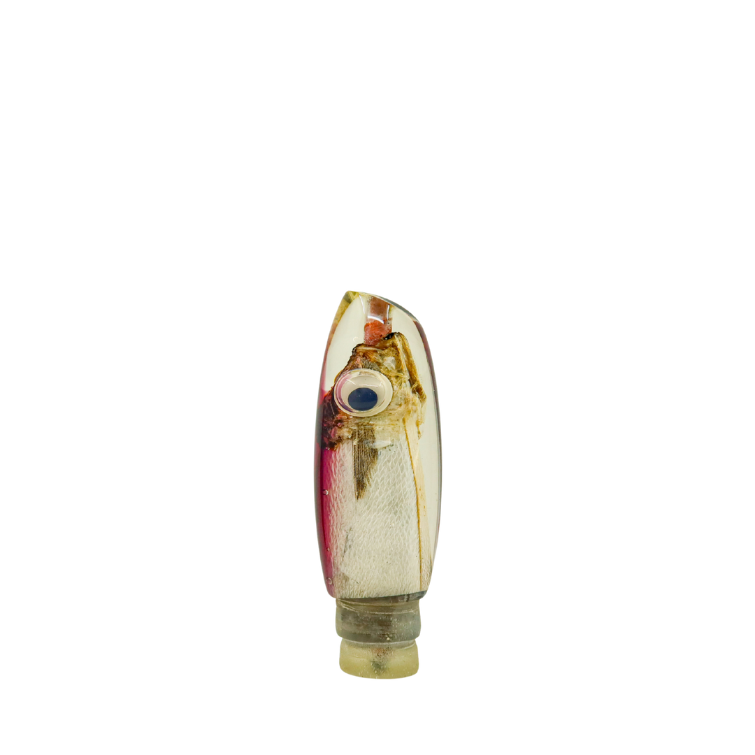 Tanabe Lures: History & Lure Identification Guide | Luremonger 9" Scoop, Real Fish Head - Offshore Trolling Lure Archive