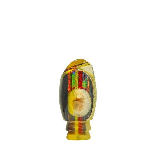Sonny Arita - 12” Vintage Opihi Shell Scoop