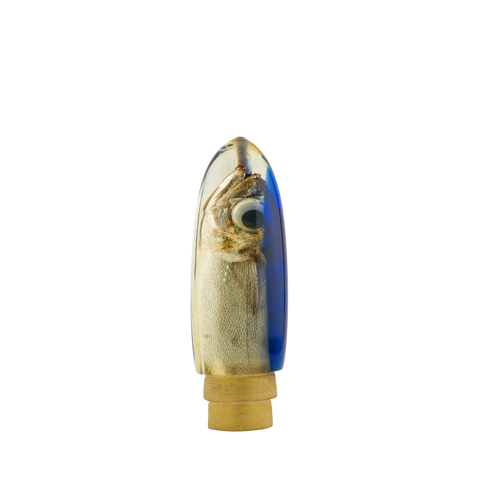 Tanabe - Vintage 12" Blue Top Fish Head Bullet