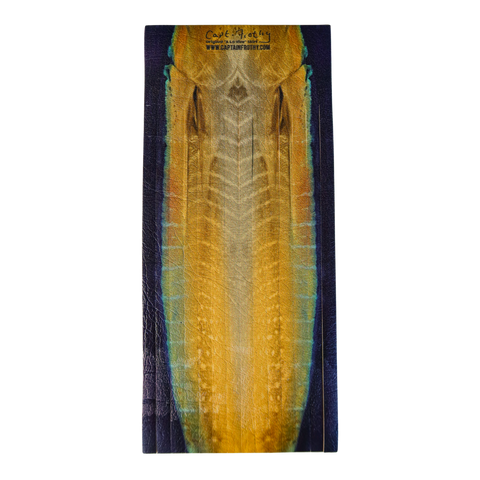 Frothy - "A La Vive" Gold Tuna Vinyl