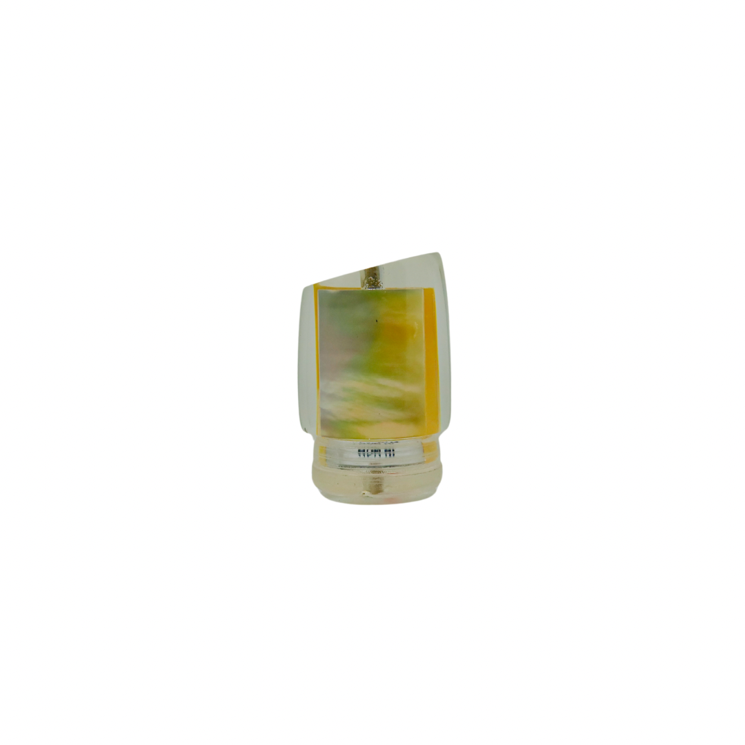 Kealoha - 10” Real Shell Stubby Chee Hoo