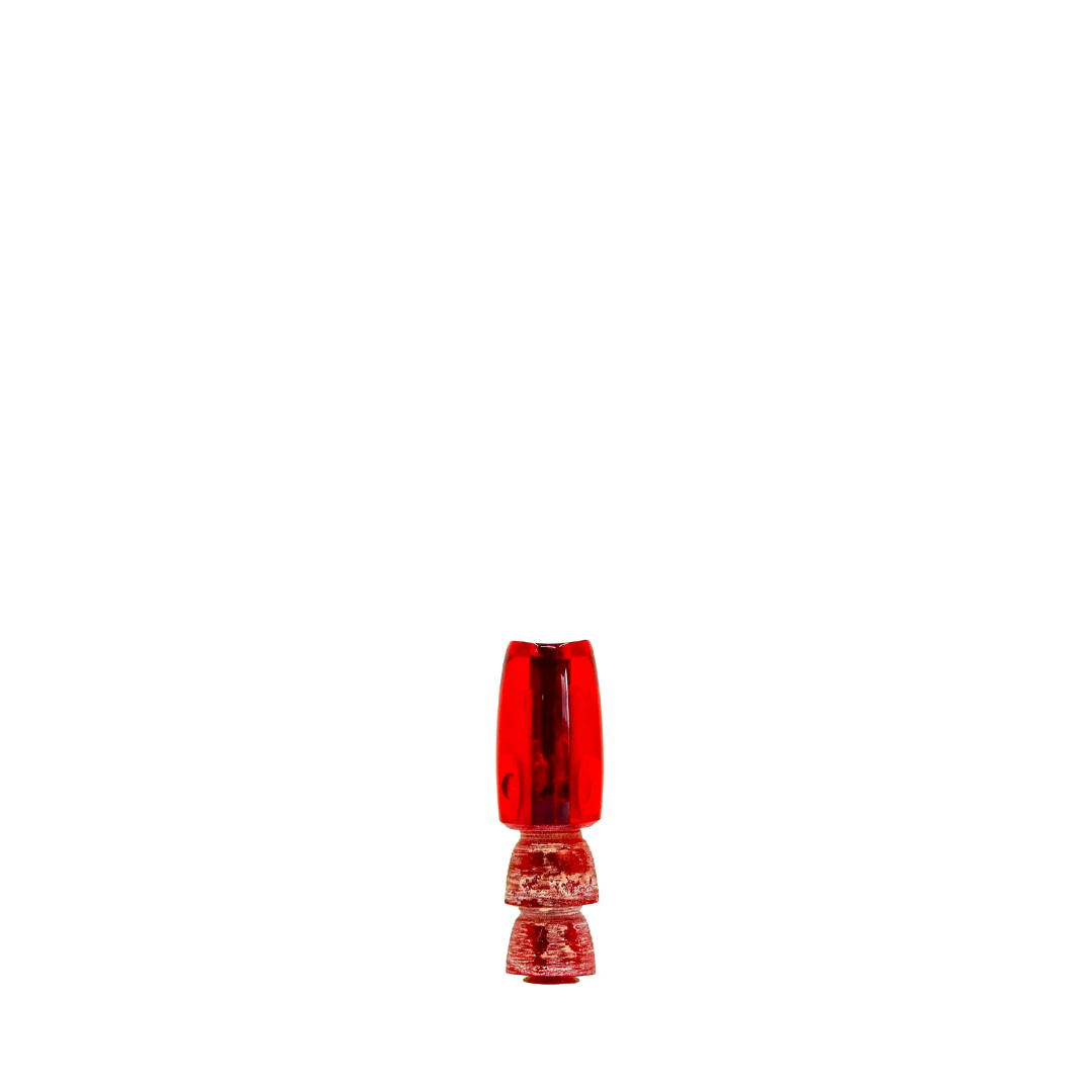 Coggin - 5" Real Shell Red Top Maui Peanut