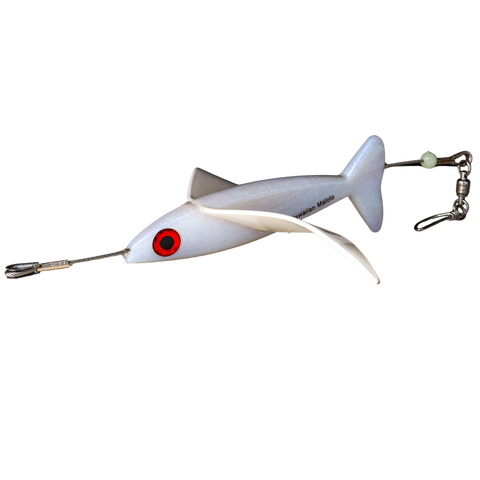 Hawaiian Malolo - Bird Teaser Booby Bird