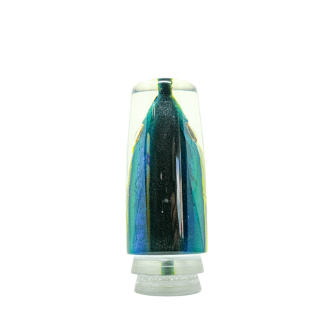 Alii Kai - 14" Yellowfin Hard Head