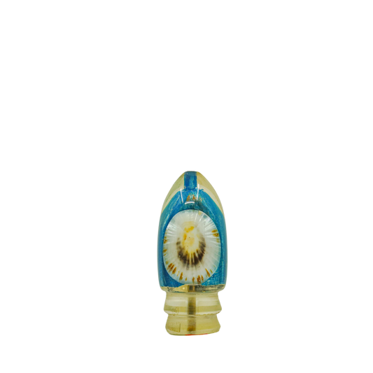 Sonny Arita - 9” Vintage Opihi Shell Bullet