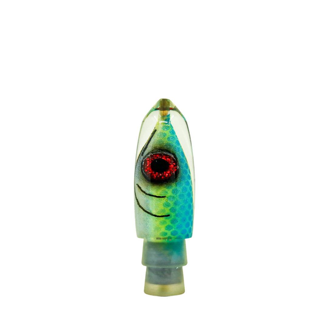 Tsutomu - 9” Plus Mahi Fish Head Bullet