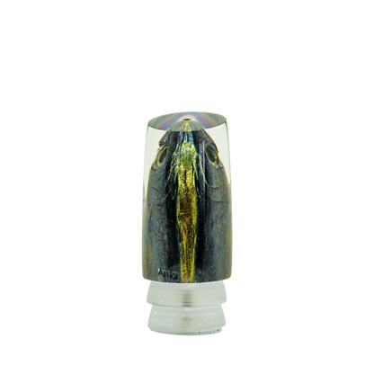 Alii Kai - 14" Holo Mahi Fish Head Nifty Fifty