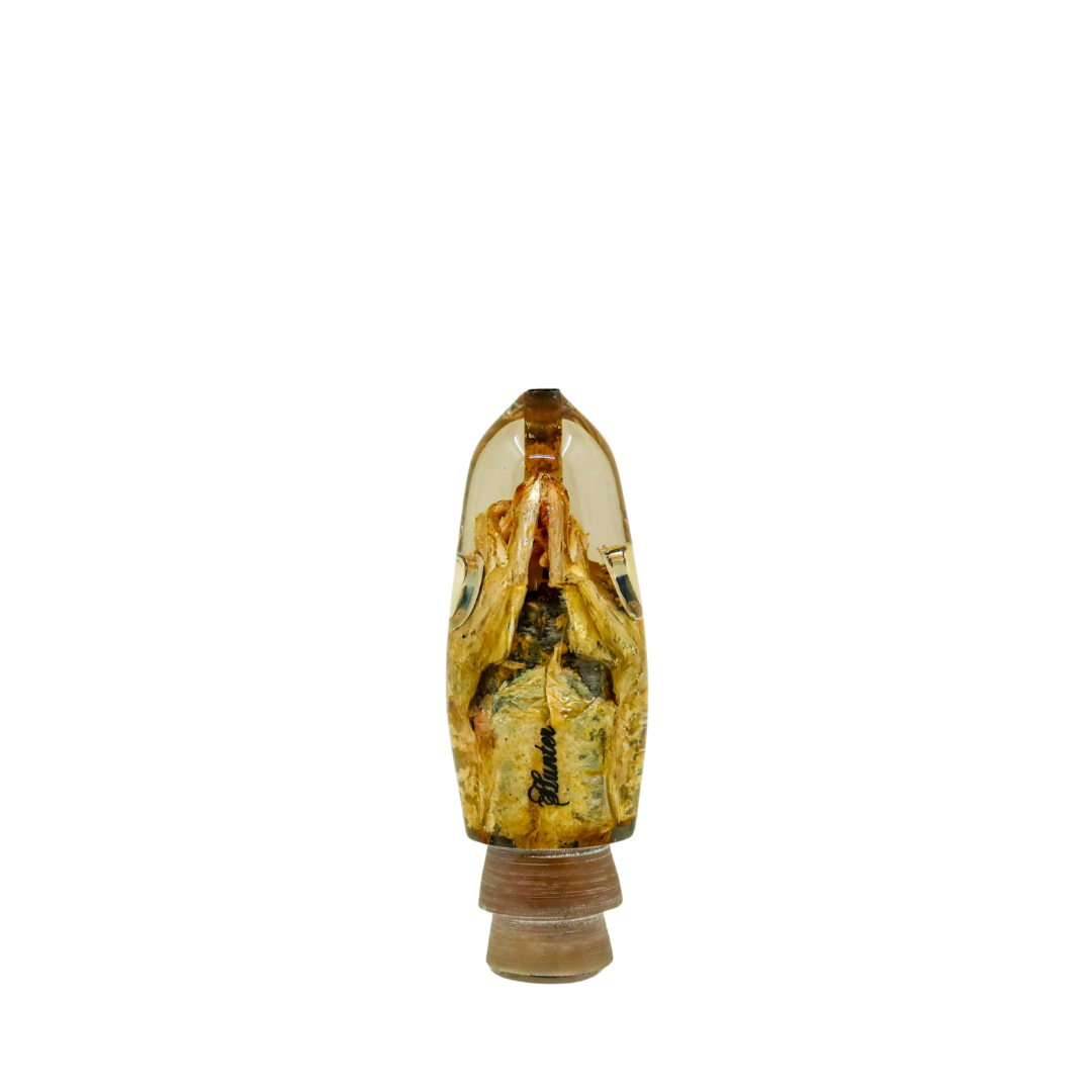 Hunter Lures - 9” Real Fish Head Bullet